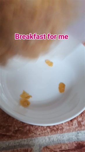 Breakfast for today #highlights #followers #viewers #breakfast | Lea Nuncio Evangelista