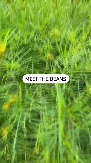 Discover Fun Facts About University of Nebraska Omaha