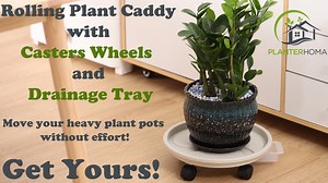 Watch Hard to move large heavy plant pots? Need the plant caddy? on Amazon Live