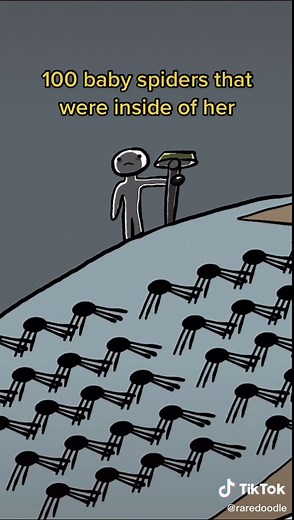 Remembering the Pregnant Spider Video