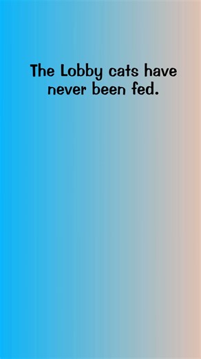 10K views · 422 reactions | No cats were harmed in the making of this video. And everyone got wet food. | Tabby's Place: a Cat Sanctuary | Facebook