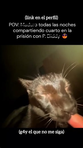 Clips.exe on Instagram: "Existe un fenómeno físico llamado efecto Sagnac, donde dos haces de luz que recorren un circuito cerrado en direcciones opuestas tardan tiempos distintos si el sistema está en rotación. La diferencia se manifiesta como un desfase interferométrico medible. Este efecto no depende del medio, sino de la rotación misma. Se utiliza en giroscopios láser y de fibra óptica para navegación inercial en aviones, barcos y satélites. El efecto Sagnac demuestra que la rotación deja hue