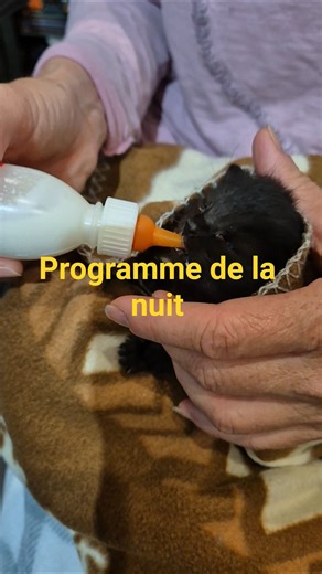 programme de la nuit