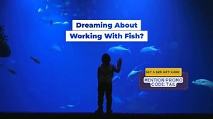 Animal Behavior College TV Spot, 'Aquarium Maintenance Program'