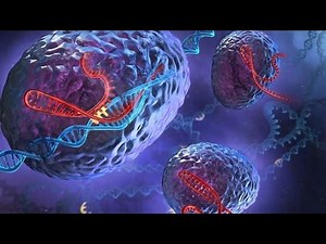 Duplicación y reparación del ADN