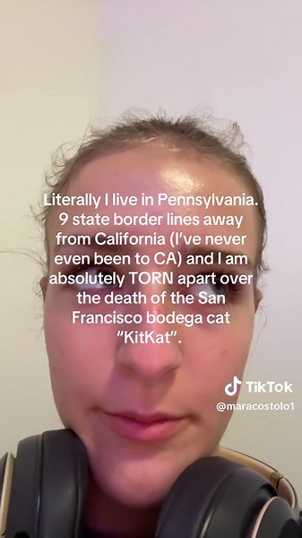 Tribute to KitKat: Remembering San Francisco's Beloved Bodega Cat