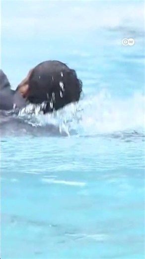 Zohran Mamdani Jumps Into Pool Fully Clothed