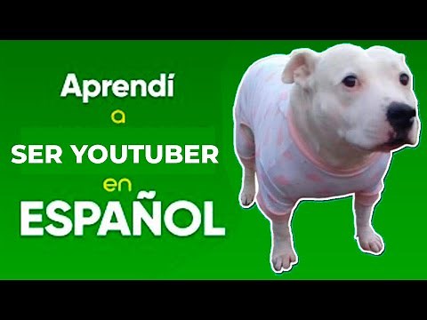 MEXICAN LÓPEZ te enseña a ser YOUTUBER