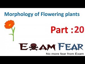 Structure of Flower Video Lecture - NEET