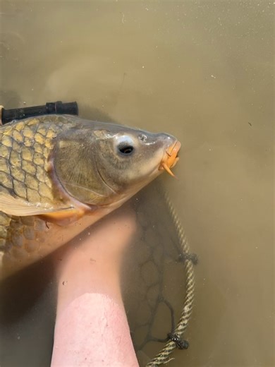 Scientific Anglers on Reels | Facebook