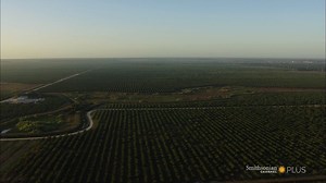 Aerial America delivers 68 episodes of marathon-worthy viewing. Travel from coast to coast, including a stop at Florida's verdant orange groves: https://bitly.com/2YqBvS5 | Smithsonian Channel Aviation Nation