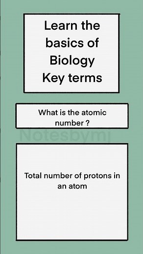 Atomic Number Explained Simply! 🧪|how elements are identified on the Periodic Table.