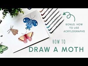 How to Draw a Moth (and Color with Acrylographs)