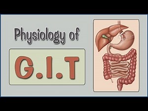 Easy Physiology | G.I.T | 1-Introduction & G.I.T Hormones