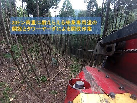 20トン荷重に耐えらえる林業専用道の開設とタワーヤーダによる間伐作業 tower yarder Japan