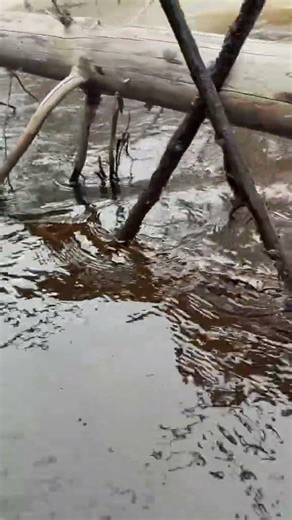 Finally found some open water to get otter traps out! #trapper #Outdoors #trapline #wisconsin #otter