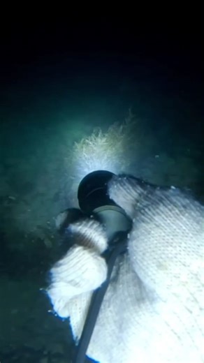 5.7K views · 89 reactions | Smiling Shark model: SD-Q20 Diving Flashlight #spearfishing #fblifestyle #DIVINGFLASHLIGHT | One Fish Adventure | Facebook