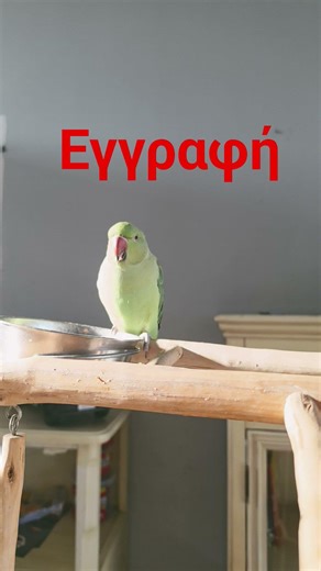 perrot