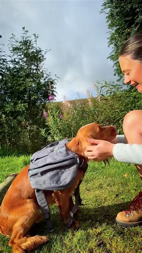 Dog backpack: What to pack 🎒
