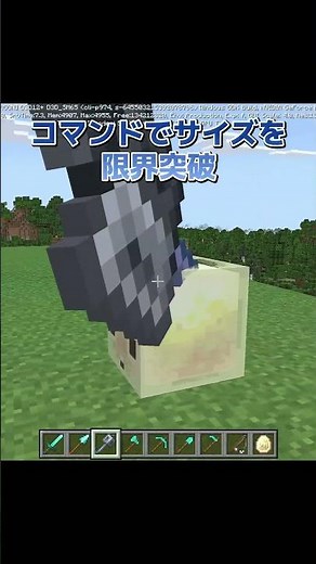 Raise your hand if this looks like an accessory to you. [Minecraft Bedrock Edition / Commands] #s...