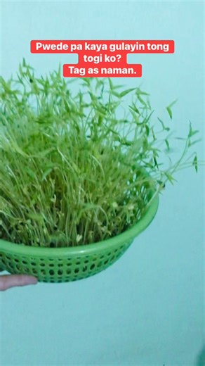 Rosalie Bual on Reels