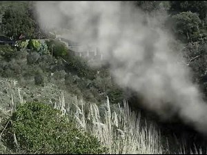 Wildland Simulation by Digital Combustion