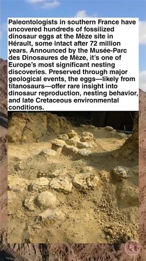 72-Million-Year-Old Dinosaur Egg Nest Discovered in France