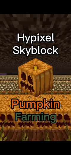 Ultimate Hypixel Skyblock Pumpkin Farming Guide