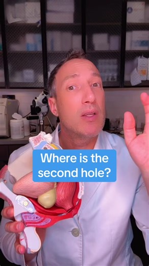 Exploring the Anatomy: The Elusive Second Hole