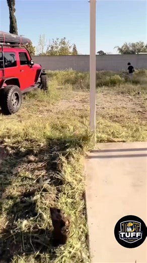 Turn your basic backyard into a custom outdoor escape with Tuff Deck Builders Los Angeles. Our team designs and builds decks that fit the way you actually live outside—whether that means a grilling zone, a lounge space with string lights, or a family-friendly hangout built to handle real life. From tight city yards in Downtown Los Angeles to hillside views, the right deck can completely transform how your home feels and functions. 🏡✨ When you work with Tuff Deck Builders Los Angeles, you get a 