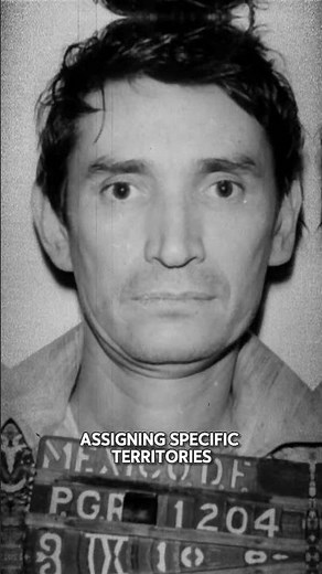 Miguel Ángel Félix Gallardo The Godfather of Cartels #truecrime #crimefacts