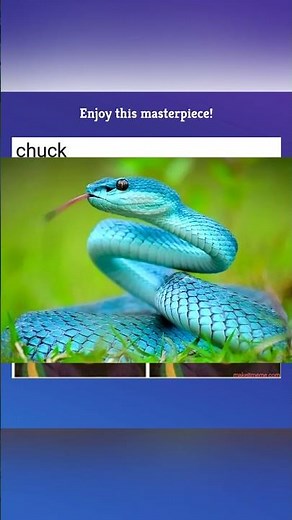 slithery snake