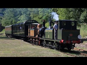 Terrier locomotives Poplar and Newport on the Bluebell railway on 29 July 2022.