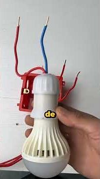 Identifying phase, neutral, and ground