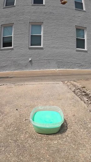 Squishy Monkey Oobleck Trick Shots 🙉🙊🙈 #meandmymonkey #squishymonkey #oobleck #trickshot #fyp #viral #monke #monkee