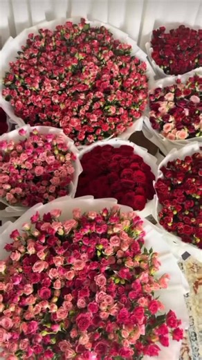 Chourouk on Instagram: "😍🩷 #foryou #fypシ #algerienne🇩🇿"