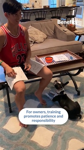 10K views · 42 reactions | Can an old dog learn new tricks?  #dogs #discipline #skills #treats | Poke My Heart | Facebook