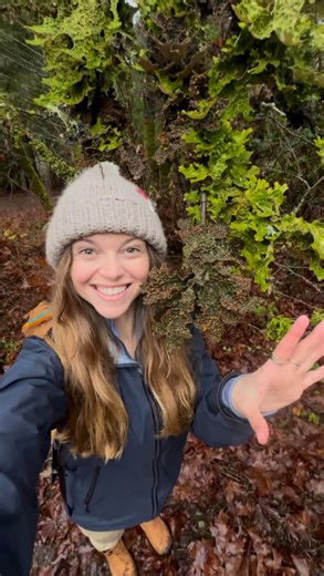 Rachael Tancock, The Nature Educator on Instagram: "Air pollution harms our health and our environment, often before we can even see it. Bioindicator species, such as lichens, act as early warning systems because they react when air quality is impacted. If you want to help reduce pollutants, learn more about pollution in your community and advocate for a cleaner and healthier planet! #FutureEarthPartner #nature #pollution"