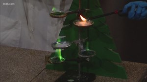 One of the many amazing things you can see at Science Illuminated