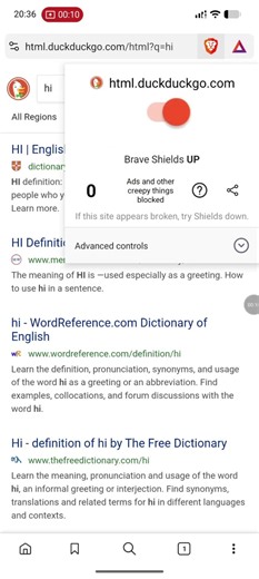 block scripts brave browser