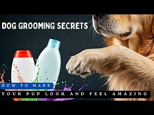 The Ultimate Dog Grooming Guide: From Puppy to Pro