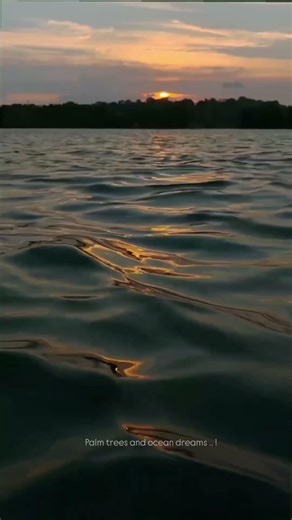 Anoop’s Lake View Cottage & Munroe Island | Kerala Backwaters Beauty | Must Visit Kerala Stay