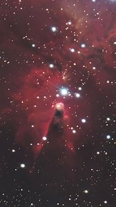 Rami Ammoun | The Cone Nebula (also known as the Christmas Tree Nebula) is a striking pillar of interstellar gas and dust located in the constellation... | Instagram