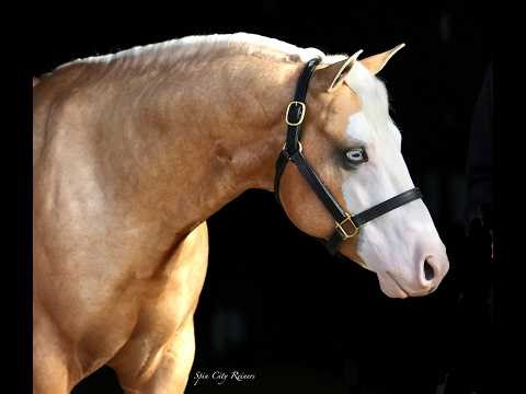 Sale Pending - The Barn Favorite!