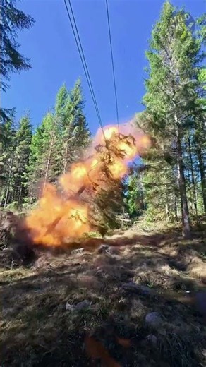 How Does Electricity Blow Up a Tree Like an Explosion? 😨💥