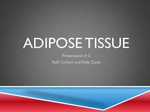 Adipose Tissue - SlideServe