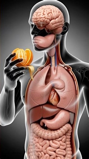 Orange process in body #shorts #youtubeshorts #orange