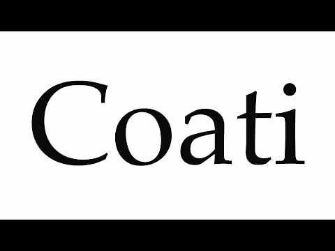 How to Pronounce Coati