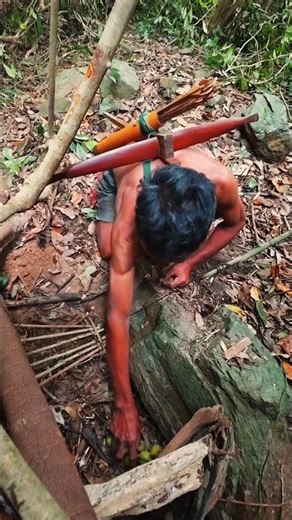 Trapping handmade to survival #trap #survival #bushcraft