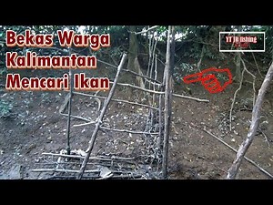 Mancing Di Hutan Kalimantan, Masih Membuat Saya Penasaran